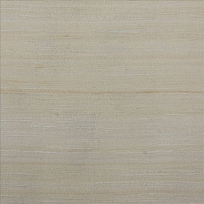 Kasmir RAW SILK         SNOW            